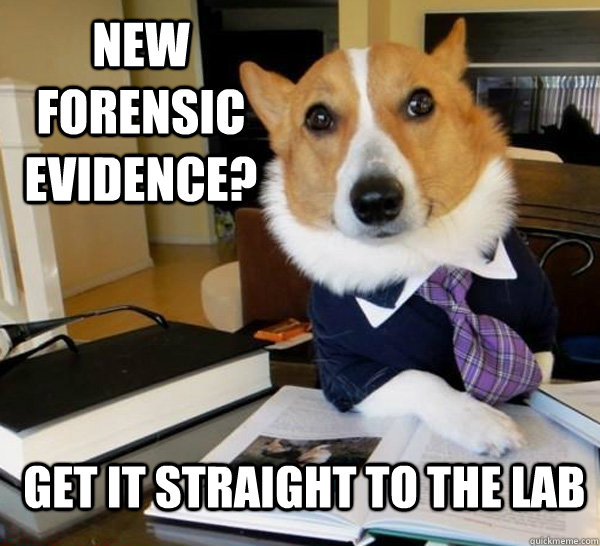 new forensic evidence? get it straight to the lab  Lawyer Dog