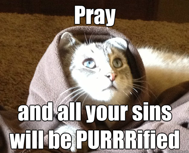 Pray and all your sins will be PURRRified - Pray and all your sins will be PURRRified  Kitty Jesus