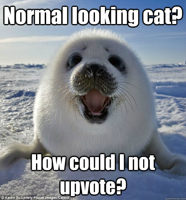 Normal looking cat? How could I not upvote?  Easily Pleased Seal