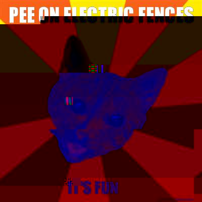 Pee on electric fences It's fun  Bad Advice Cat
