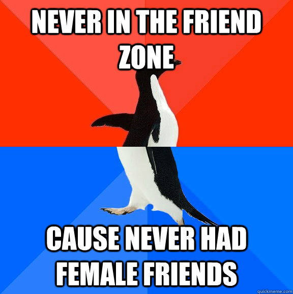 never in the friend zone cause never had female friends - never in the friend zone cause never had female friends  Socially Awesome Awkward Penguin