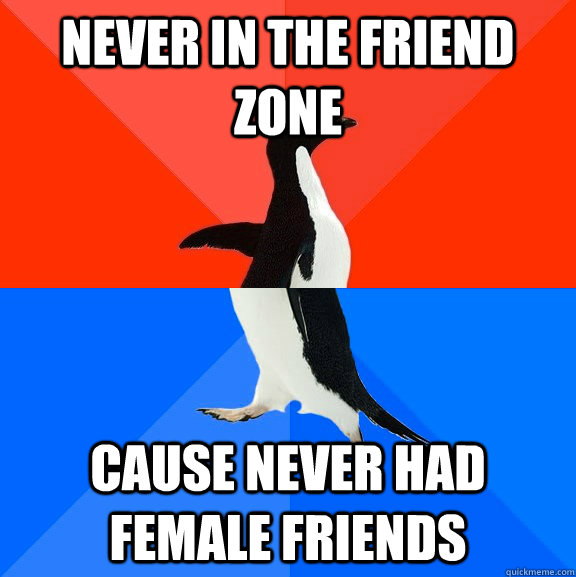 never in the friend zone cause never had female friends  Socially Awesome Awkward Penguin