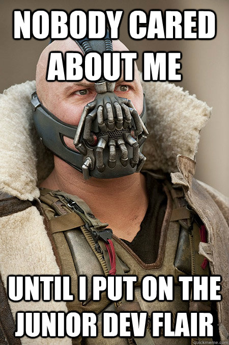 Nobody cared about me until i put on the junior dev flair  Bad Jokes Bane