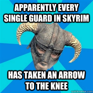 apparently every single guard in Skyrim has taken an arrow to the knee  Skyrim Stan