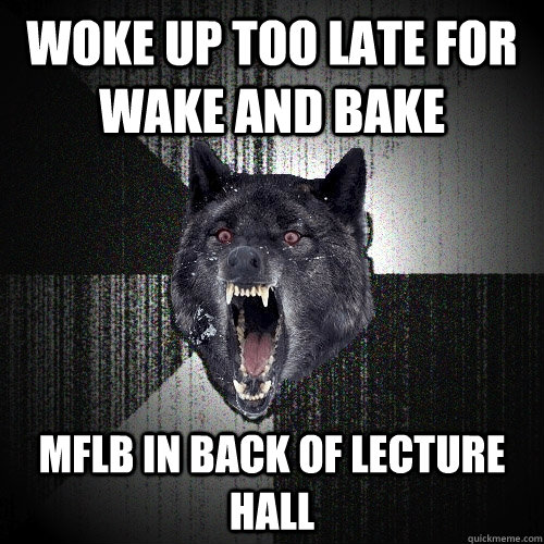 woke up too late for wake and bake mflb in back of lecture hall - woke up too late for wake and bake mflb in back of lecture hall  Insanity Wolf