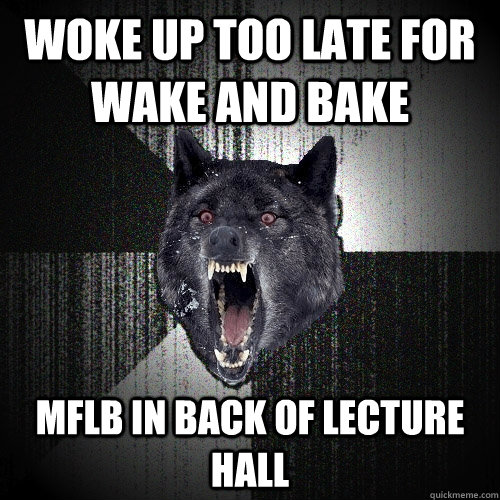 woke up too late for wake and bake mflb in back of lecture hall  Insanity Wolf
