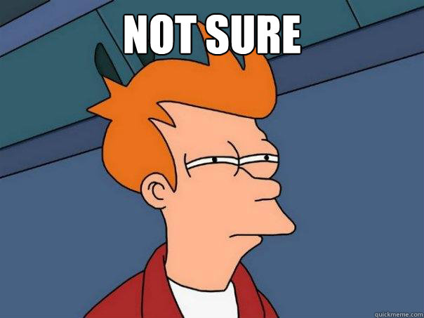 Not sure   Futurama Fry