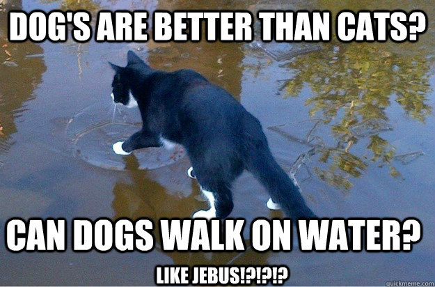 Dog's are better than cats? Can dogs walk on water? LIKE JEBUS!?!?!? - Dog's are better than cats? Can dogs walk on water? LIKE JEBUS!?!?!?  Jesus Cat