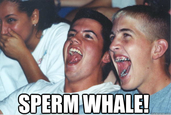 Sperm Whale!   Immature High Schoolers