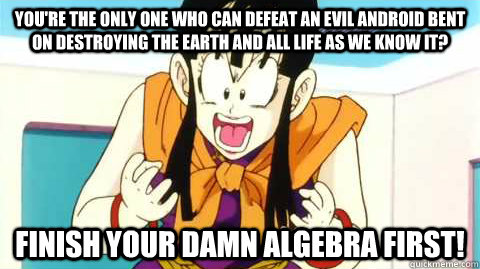 you're the only one who can defeat an evil android bent on destroying the earth and all life as we know it? finish your damn algebra first!  Rational Chi-Chi