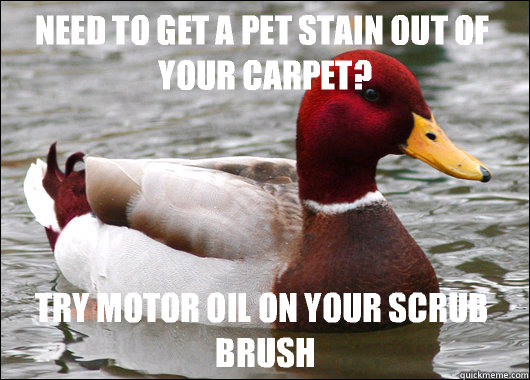 Need to get a pet stain out of your carpet? Try motor oil on your scrub brush  Malicious Advice Mallard