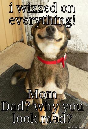 I WIZZED ON EVERYTHING! MOM DAD? WHY YOU LOOK MAD? Good Dog Greg