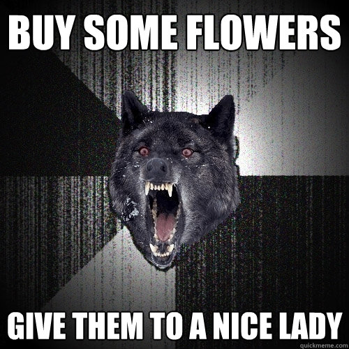 Buy some flowers Give them to a nice lady  Insanity Wolf