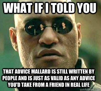 what if i told you that advice mallard is still written by people and is just as valid as any advice you'd take from a friend in real life - what if i told you that advice mallard is still written by people and is just as valid as any advice you'd take from a friend in real life  Matrix Morpheus