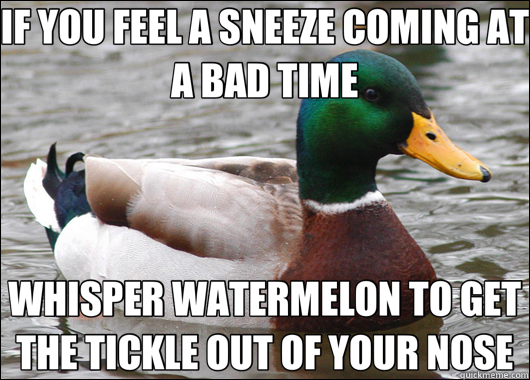 IF YOU FEEL A SNEEZE COMING AT A BAD TIME WHISPER WATERMELON TO GET THE TICKLE OUT OF YOUR NOSE  Actual Advice Mallard