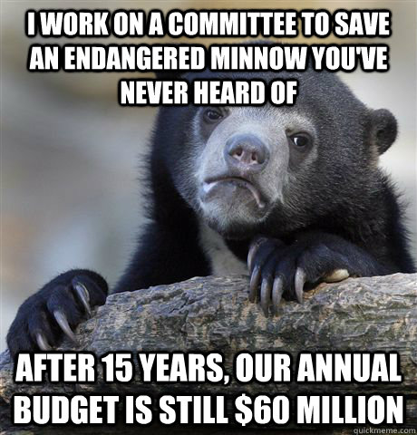 I work on a committee to save an endangered minnow you've never heard of after 15 years, our annual budget is still $60 million - I work on a committee to save an endangered minnow you've never heard of after 15 years, our annual budget is still $60 million  Confession Bear