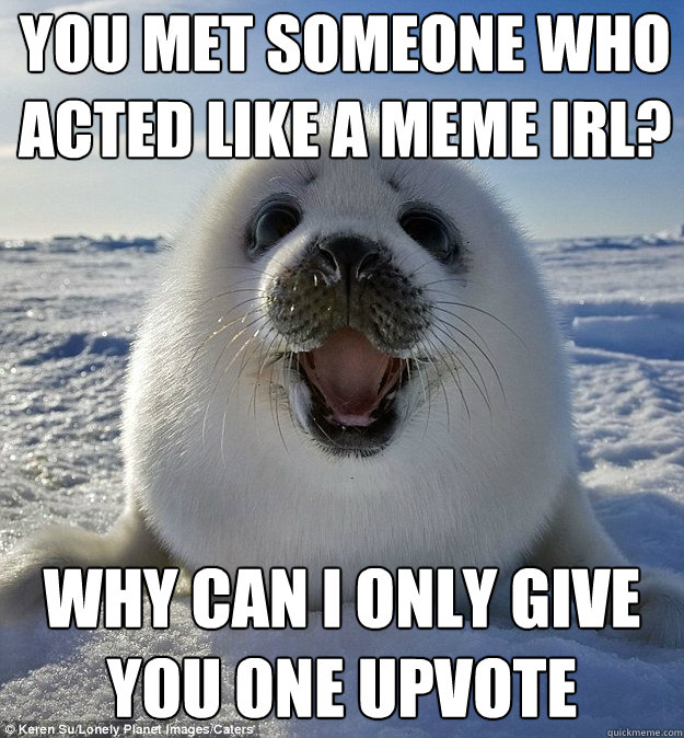 YOU MET SOMEONE WHO ACTED LIKE A MEME IRL? WHY CAN I ONLY GIVE YOU ONE UPVOTE  Easily Pleased Seal