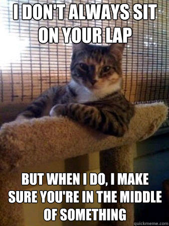 i don't always sit on your lap but when i do, i make sure you're in the middle of something  The Most Interesting Cat in the World