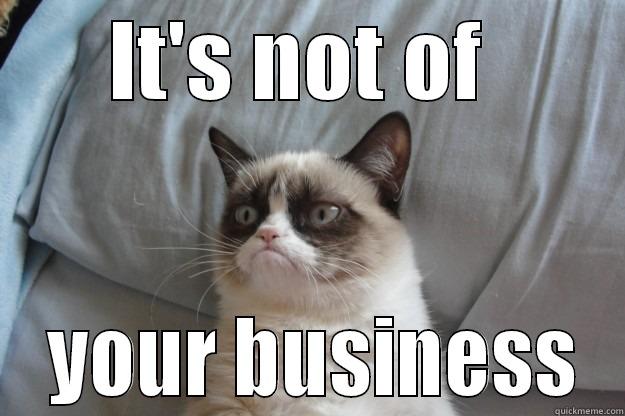 IT'S NOT OF   YOUR BUSINESS Grumpy Cat