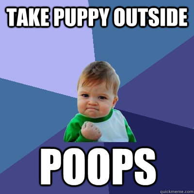 Take puppy outside poops  Success Kid