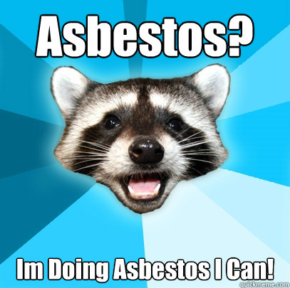 Asbestos? Im Doing Asbestos I Can!  Lame Pun Coon