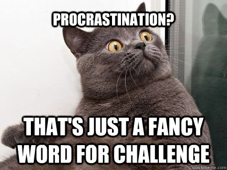 Procrastination? That's just a fancy word for challenge  conspiracy cat