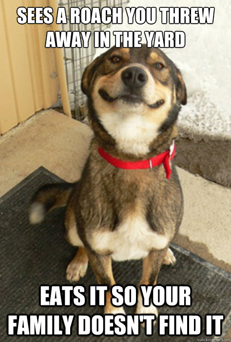Sees a roach you threw away in the yard eats it so your family doesn't find it  Good Guy Dog
