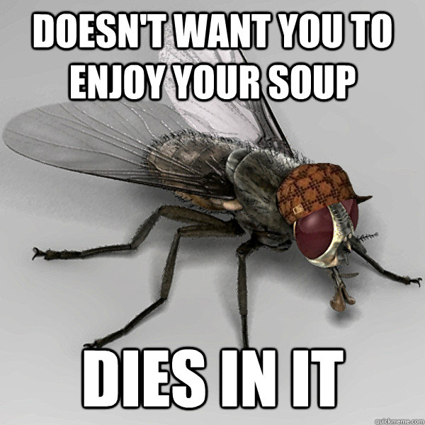 doesn't want you to enjoy your soup dies in it  Scumbag Fly