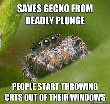 Saves gecko from deadly plunge people start throwing crts out of their windows - Saves gecko from deadly plunge people start throwing crts out of their windows  Misunderstood Spider