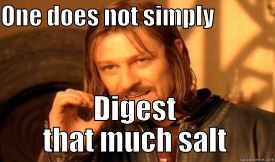 ONE DOES NOT SIMPLY              DIGEST THAT MUCH SALT Boromir