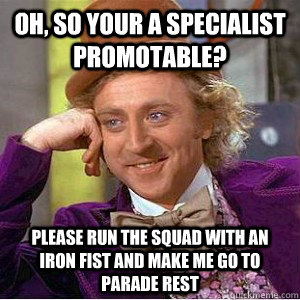 Oh, so your a Specialist Promotable? Please run the squad with an iron fist and make me go to parade rest - Oh, so your a Specialist Promotable? Please run the squad with an iron fist and make me go to parade rest  Academic wonka