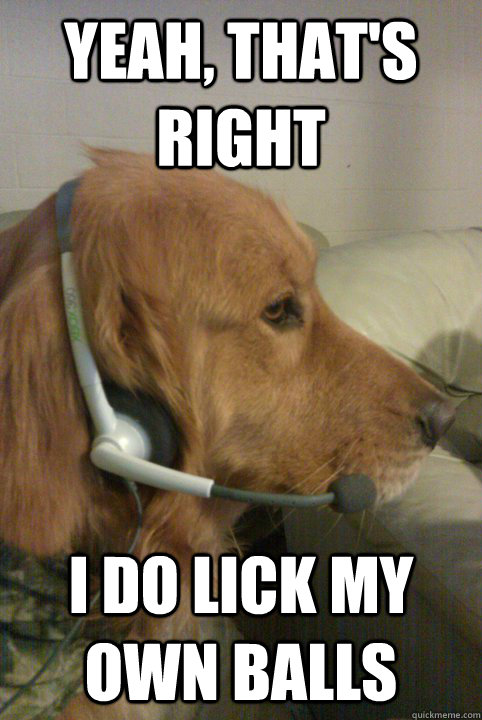 Yeah, that's right i do lick my own balls - Yeah, that's right i do lick my own balls  Xbox Live Dog