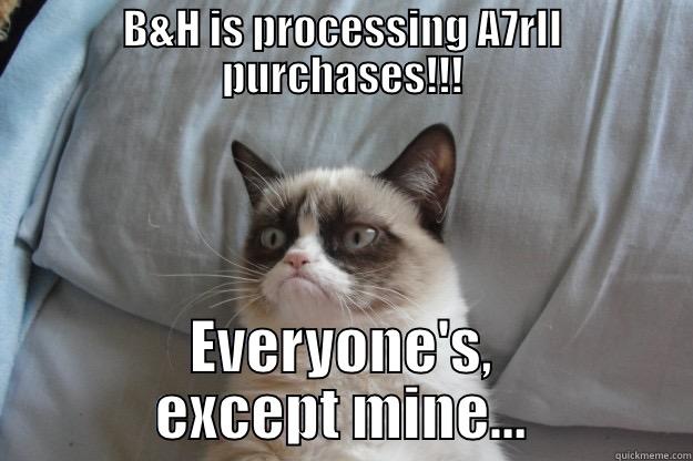 B&H IS PROCESSING A7RII PURCHASES!!! EVERYONE'S, EXCEPT MINE... Grumpy Cat