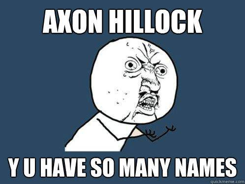 axon hillock y u have so many names  Y U No