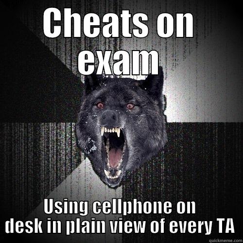 We were all looking at her like What the fuck are you doing? - CHEATS ON EXAM USING CELLPHONE ON DESK IN PLAIN VIEW OF EVERY TA Insanity Wolf