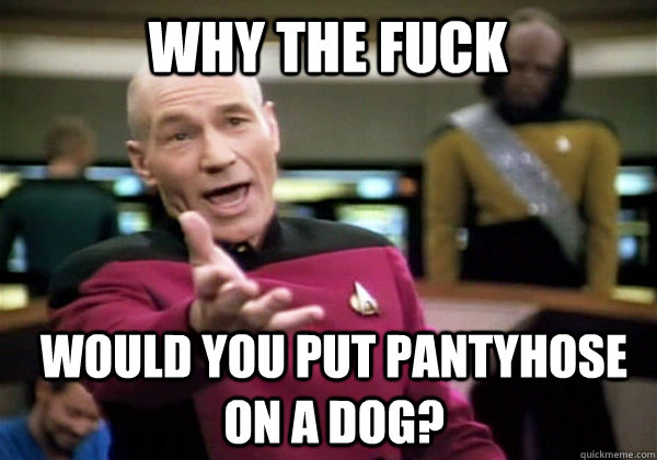 Why the fuck Would you put pantyhose on a dog?  Patrick Stewart WTF