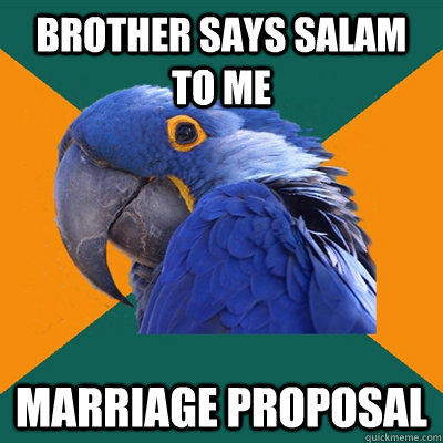 Brother says salam to me marriage proposal - Brother says salam to me marriage proposal  Paranoid Parrot