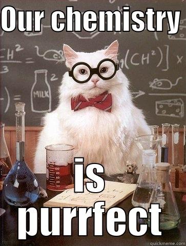 OUR CHEMISTRY  IS PURRFECT Chemistry Cat