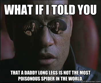 What if I told you that a daddy long legs is not the most poisonous spider in the world.  Morpheus SC