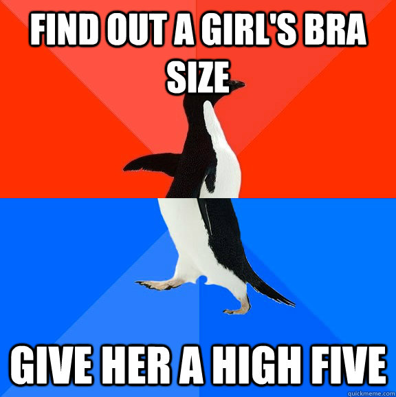 Find out a girl's bra size Give her a high five  Socially Awesome Awkward Penguin
