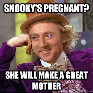 Snooky's pregnant? She will make a great mother  Condescending Wonka