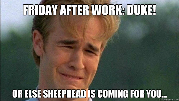 Friday after work: DUKE! Or else Sheephead is coming for you... - Friday after work: DUKE! Or else Sheephead is coming for you...  Misc
