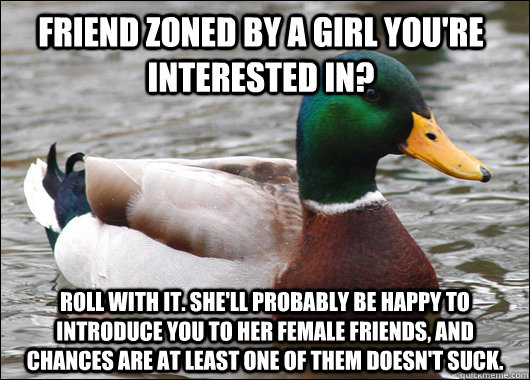 Friend zoned by a girl you're interested in? Roll with it. She'll probably be happy to introduce you to her female friends, and chances are at least one of them doesn't suck.  Actual Advice Mallard