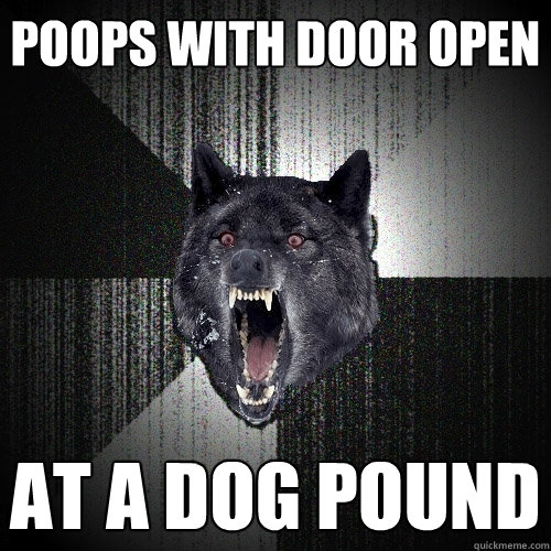 poops with door open at a dog pound  Insanity Wolf