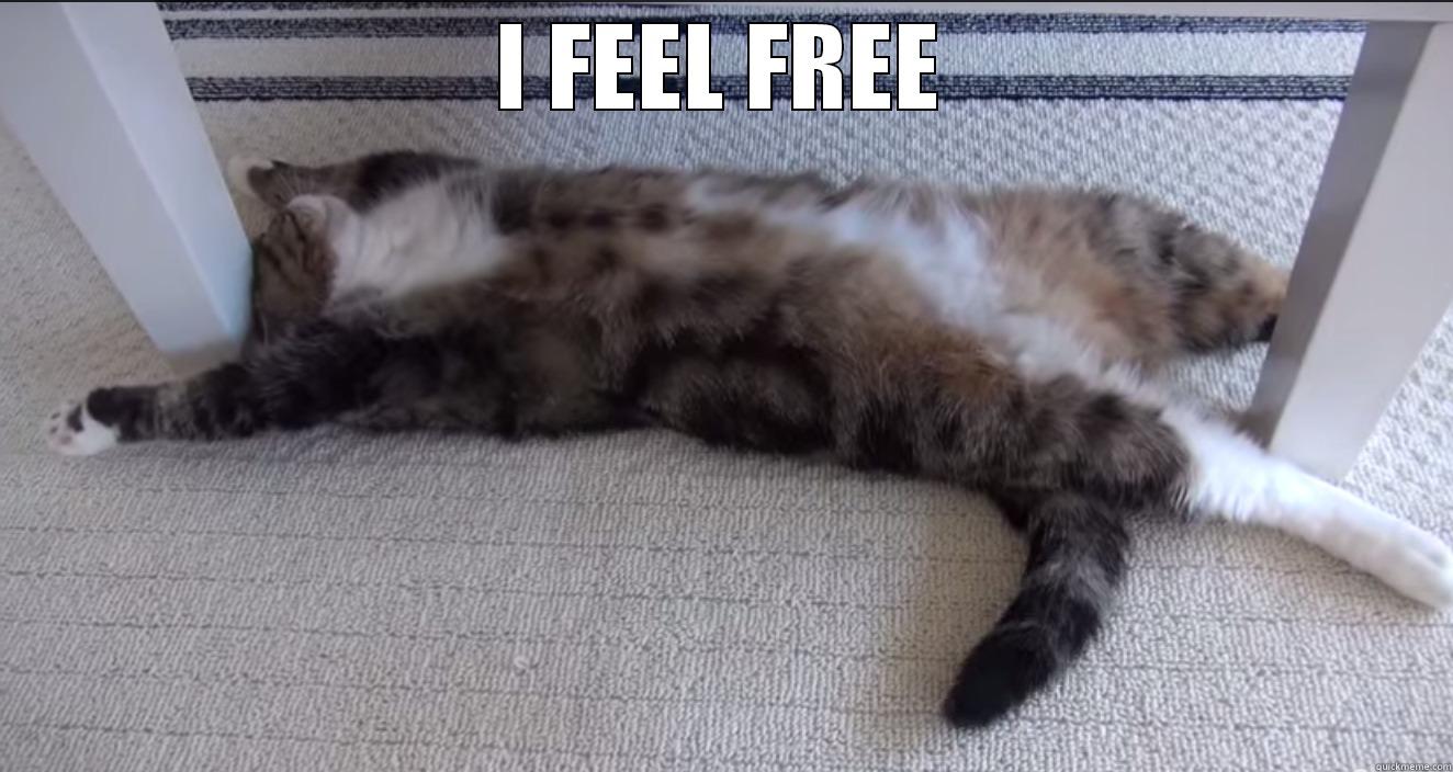 I FEEL FREE  Misc