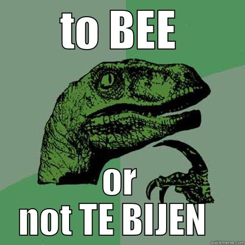 TO BEE OR NOT TE BIJEN   Philosoraptor