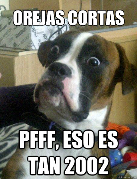 Orejas Cortas Pfff, Eso es tan 2002  Baffled boxer