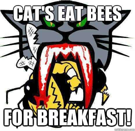 Cat's Eat Bees For Breakfast! - Cat's Eat Bees For Breakfast!  Arctic Cat