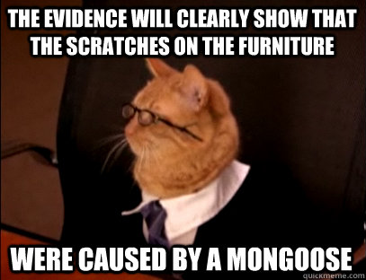 The evidence will clearly show that the scratches on the furniture Were caused by a mongoose  Lawyer Cat