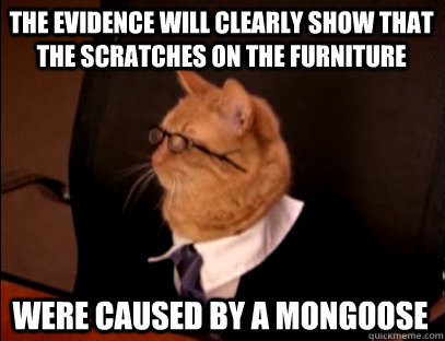 The evidence will clearly show that the scratches on the furniture Were caused by a mongoose - The evidence will clearly show that the scratches on the furniture Were caused by a mongoose  Lawyer Cat